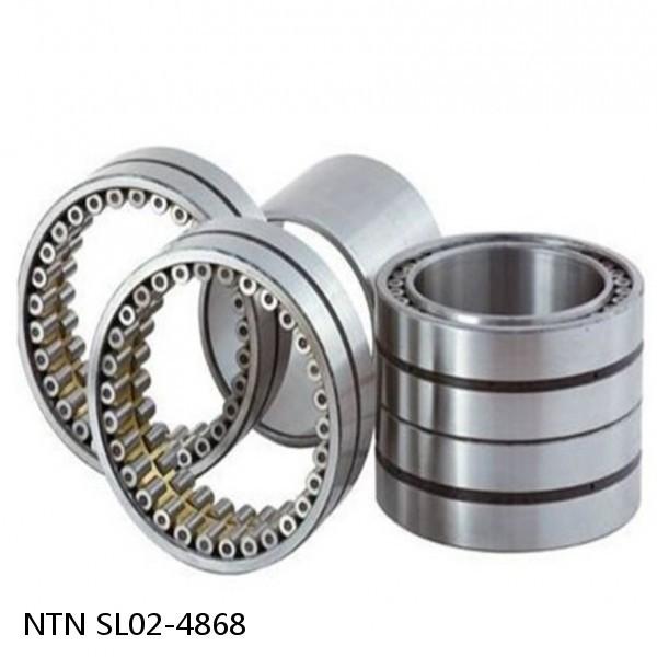 SL02-4868 NTN Cylindrical Roller Bearing