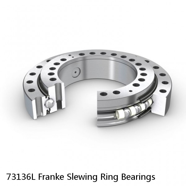 73136L Franke Slewing Ring Bearings #1 small image
