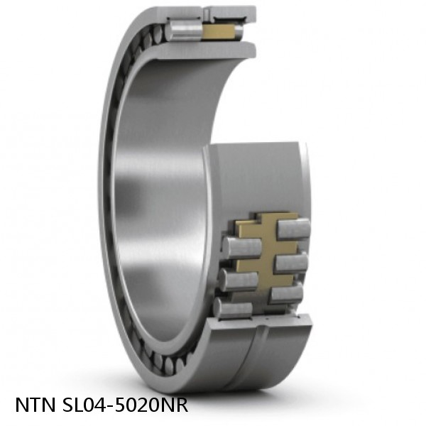 SL04-5020NR NTN Cylindrical Roller Bearing