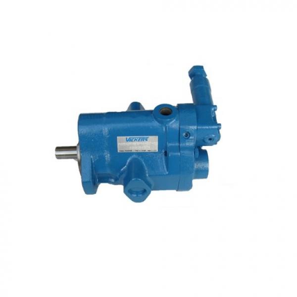 Ultra-Low Pulse Double Hydraulic Vane Pump,Hydraulic Pump Price List,China Hydraulic Pump #1 image