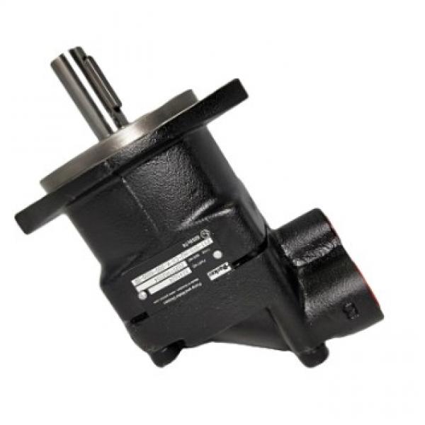 Hydraulic Gear Pump for Machinery #1 image